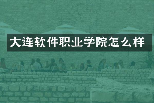大连软件职业学院怎么样