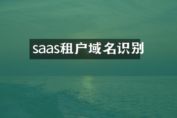 saas租户域名识别