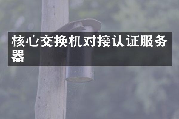 核心交换机对接认证服务器