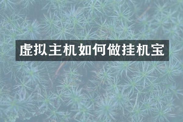 虚拟主机如何做挂机宝