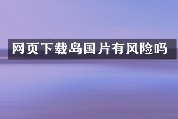 网页下载岛国片有风险吗