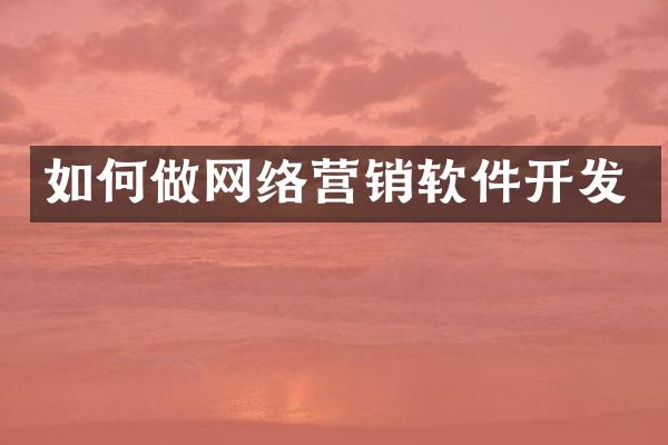 如何做网络营销软件开发