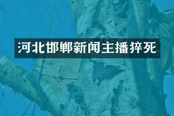 河北邯郸新闻主播猝死