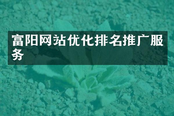 富阳网站优化排名推广服务