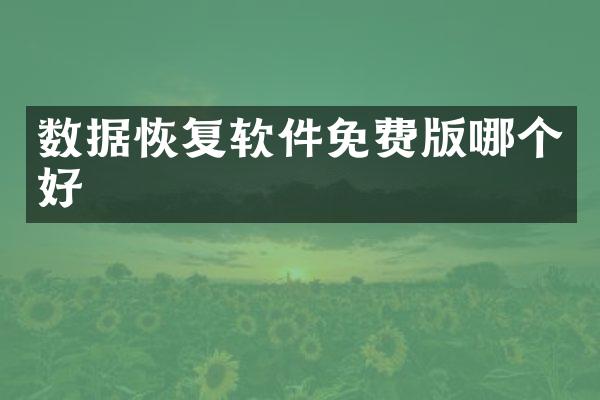 数据恢复软件免费版哪个好