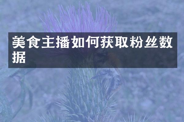 美食主播如何获取粉丝数据