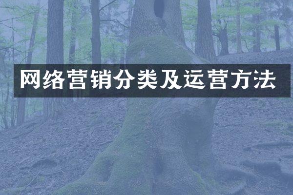 网络营销分类及运营方法