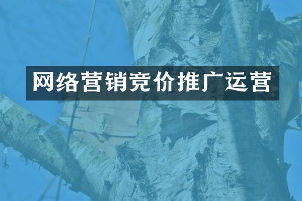 网络营销竞价推广运营