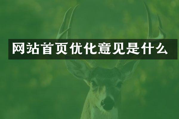 网站首页优化意见是什么