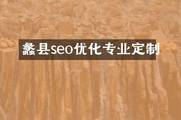 蠡县seo优化专业定制