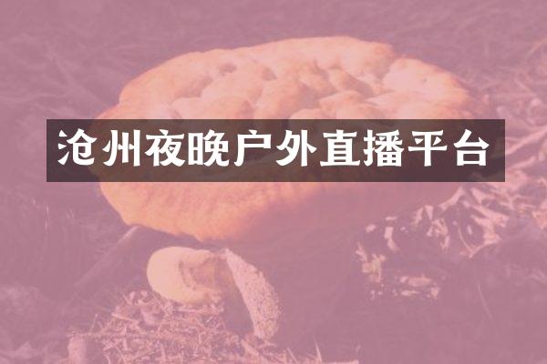沧州夜晚户外直播平台