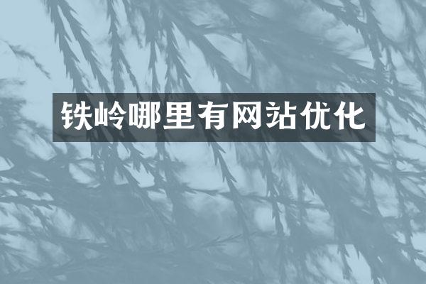 铁岭哪里有网站优化