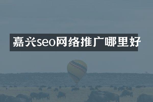 嘉兴seo网络推广哪里好
