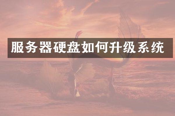 服务器硬盘如何升级系统