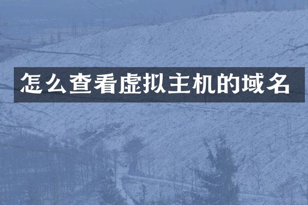 怎么查看虚拟主机的域名