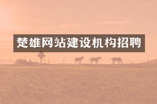 楚雄网站建设机构招聘