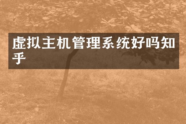 虚拟主机管理系统好吗知乎