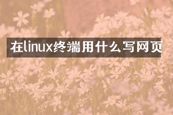 在linux终端用什么写网页