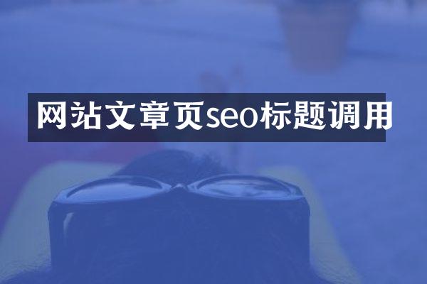 网站文章页seo标题调用
