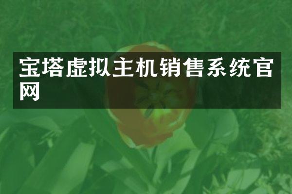 宝塔虚拟主机销售系统官网