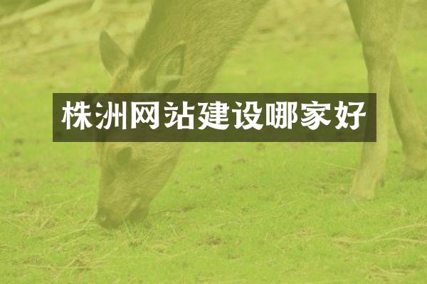 株洲网站建设哪家好