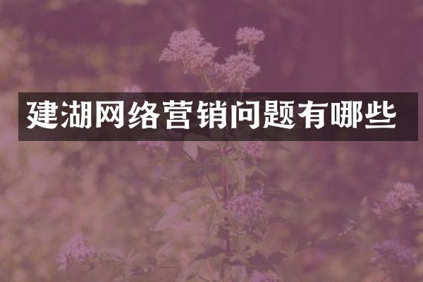 建湖网络营销问题有哪些