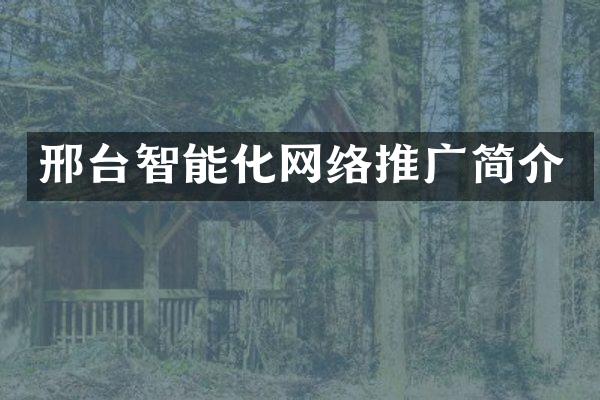 邢台智能化网络推广简介