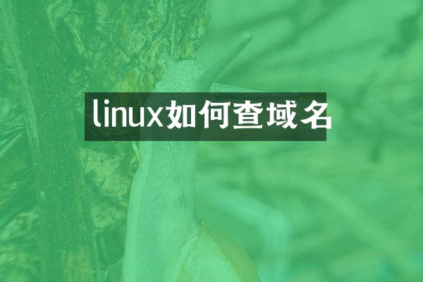 linux如何查域名