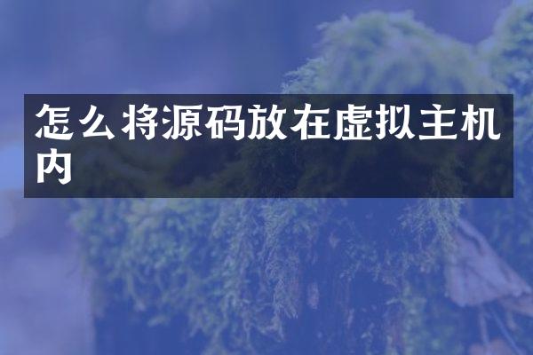 怎么将源码放在虚拟主机内