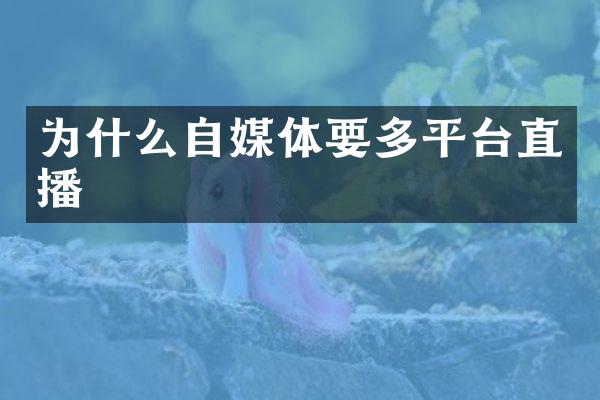 为什么自媒体要多平台直播