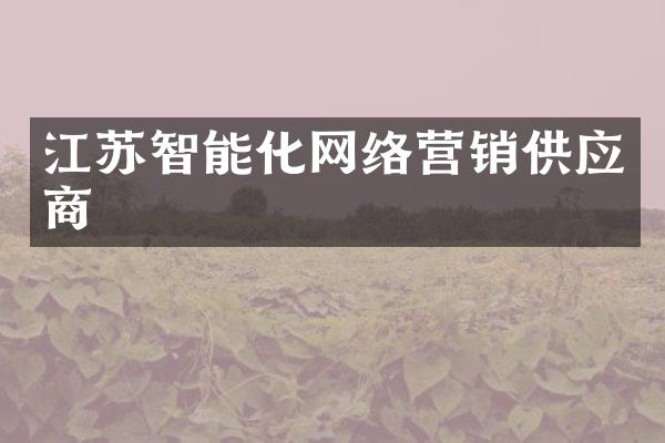 江苏智能化网络营销供应商