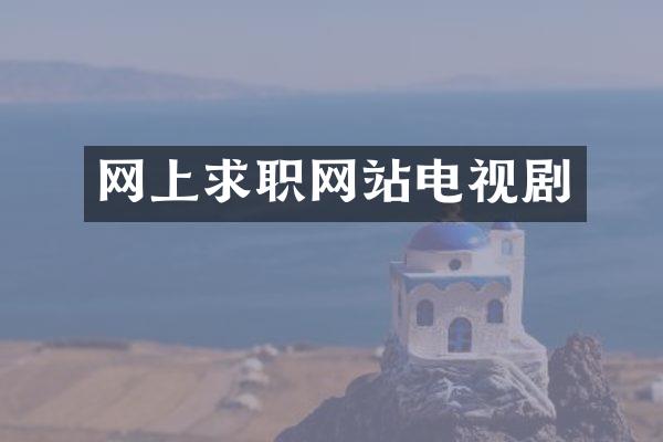 网上求职网站电视剧