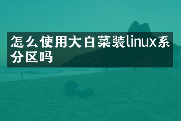 怎么使用大白菜装linux系统分区吗