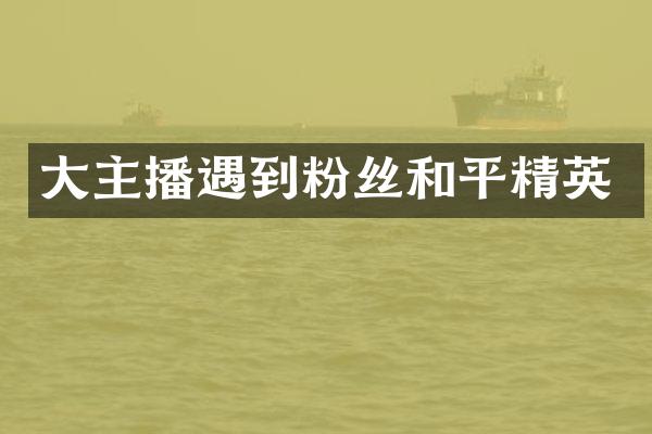 大主播遇到粉丝和平精英