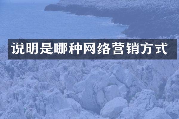 说明是哪种网络营销方式