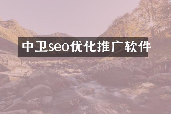 中卫seo优化推广软件