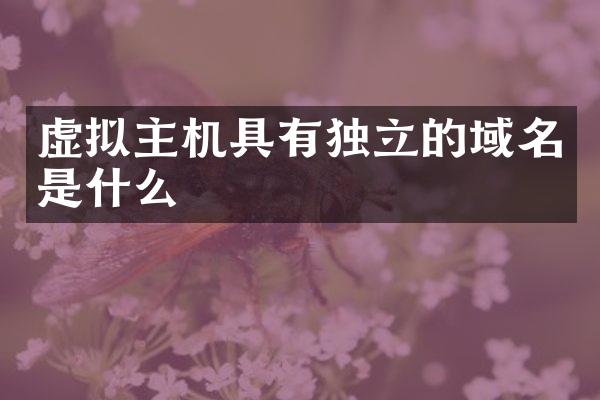 虚拟主机具有独立的域名是什么