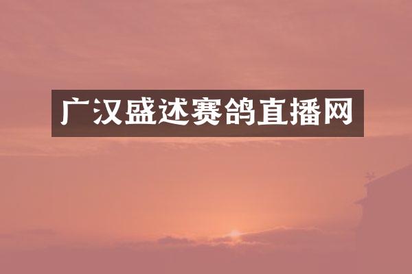 广汉盛述赛鸽直播网