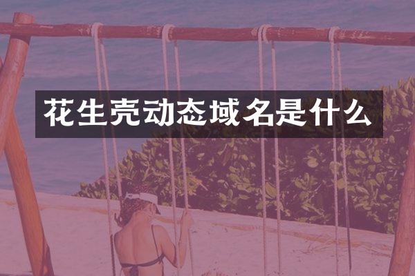 花生壳动态域名是什么