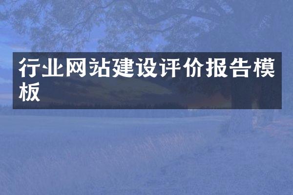 行业网站建设评价报告模板