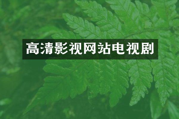 高清影视网站电视剧
