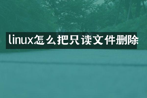 linux怎么把只读文件删除