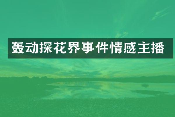 轰动探花界事件情感主播