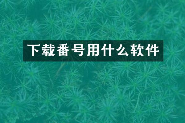 下载番号用什么软件