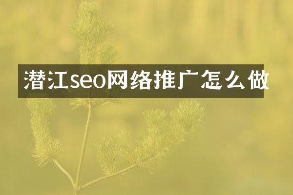 潜江seo网络推广怎么做