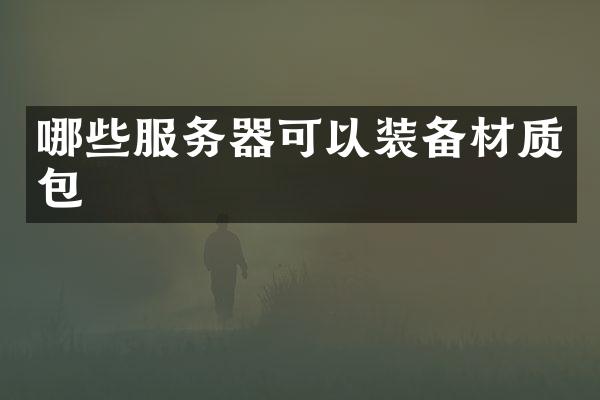 哪些服务器可以装备材质包
