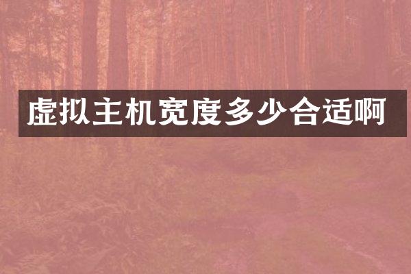 虚拟主机宽度多少合适啊