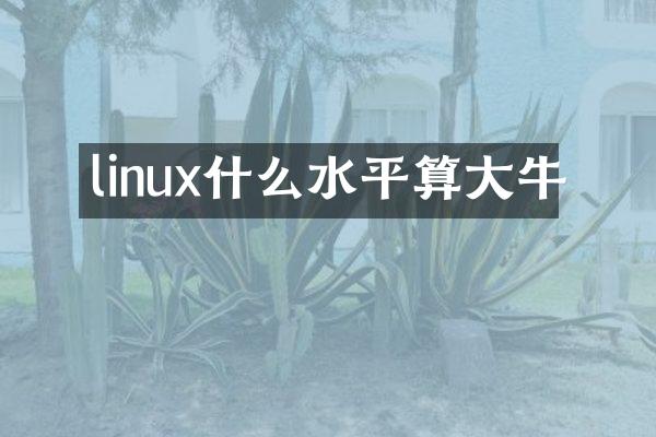 linux什么水平算大牛