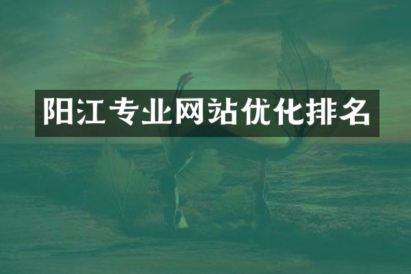 阳江专业网站优化排名