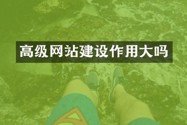 高级网站建设作用大吗